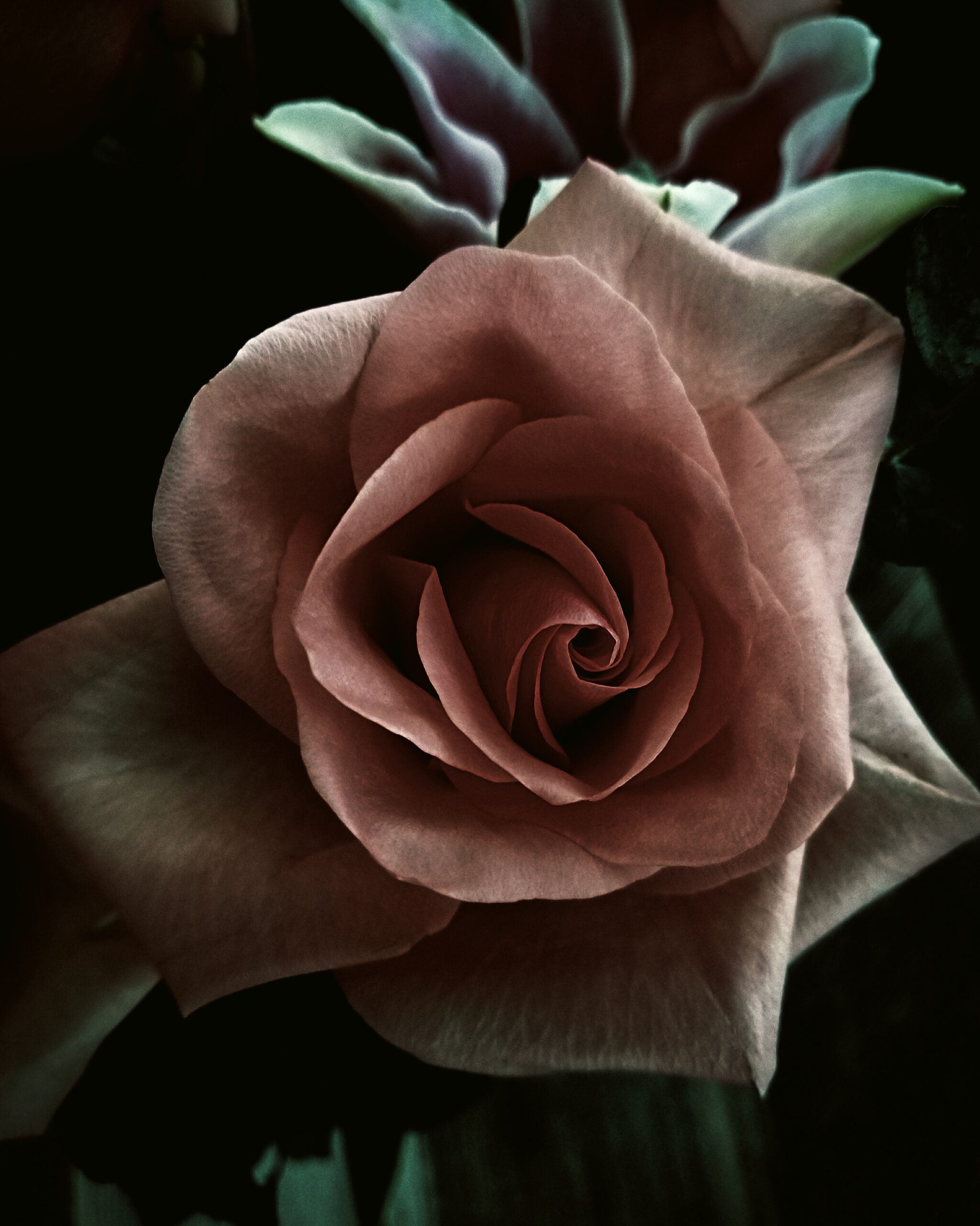 Image gallery image
