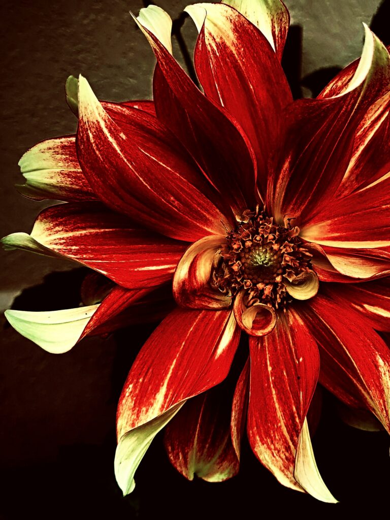Image gallery image